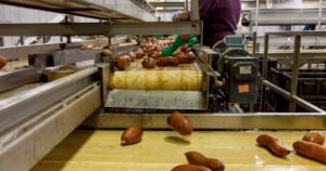 Food Grade Lubrication