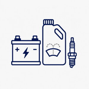 Ancillary Products